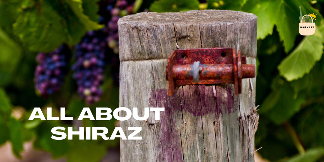 All About Shiraz