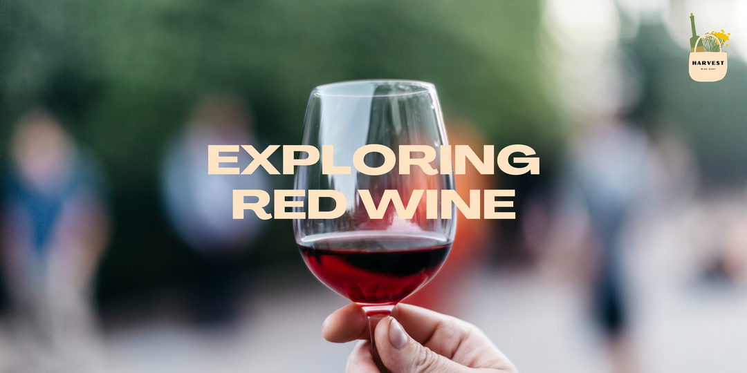 Exploring Red Wine