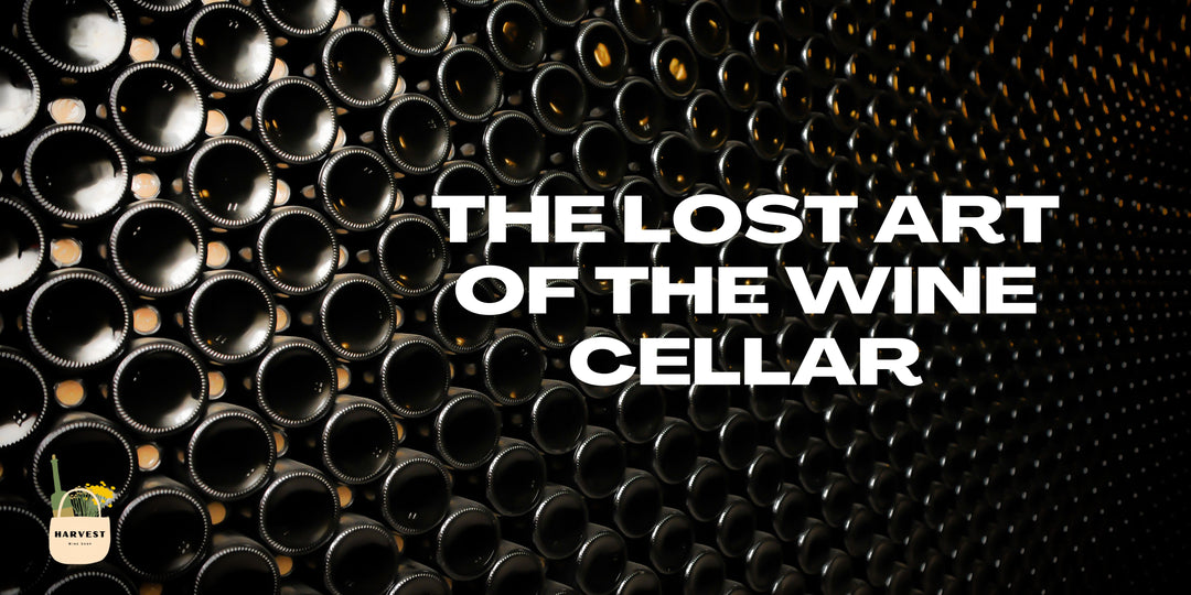 The Lost Art of the Wine Cellar