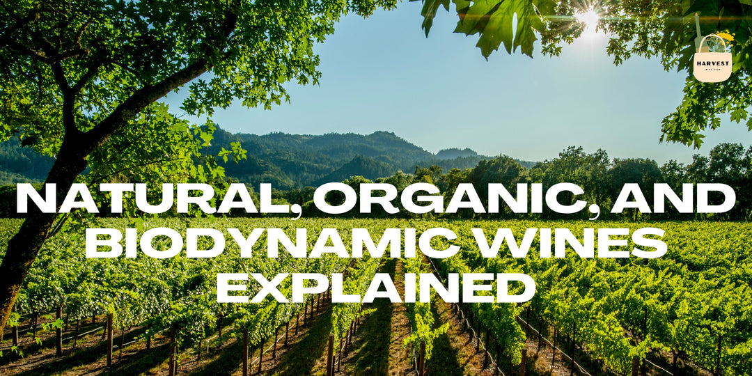 Natural, Organic, and Biodynamic Wines Explained