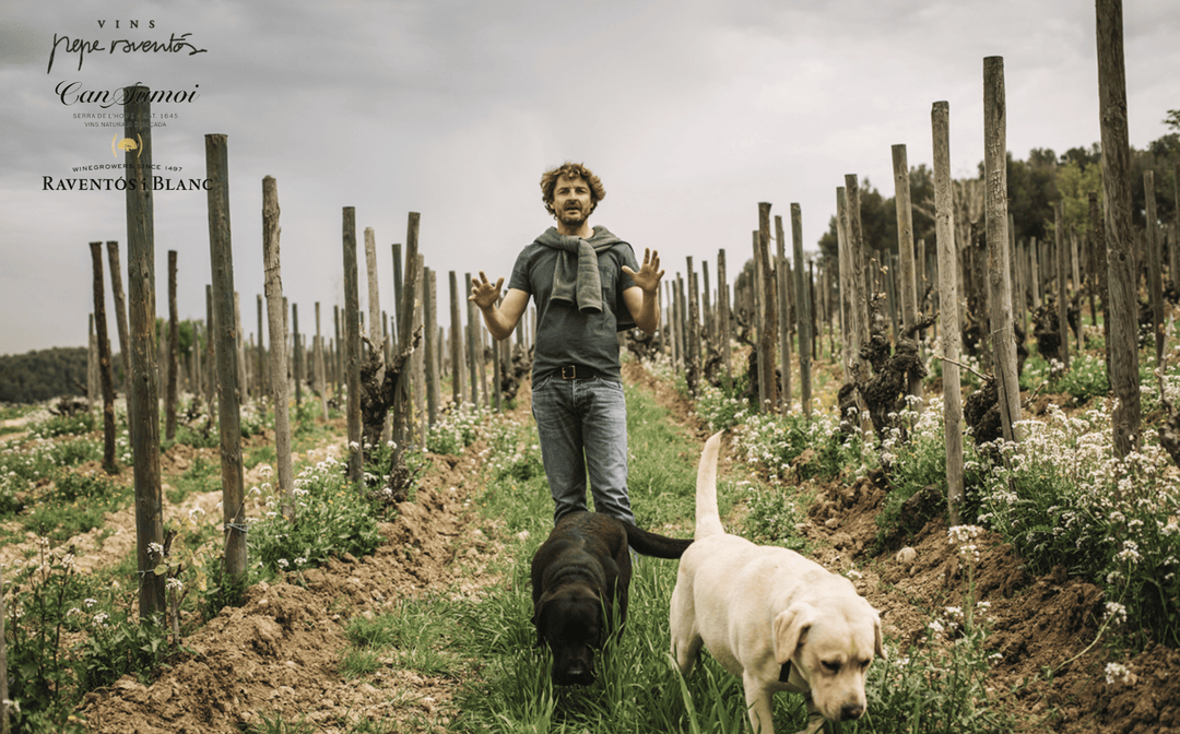 Producer Spotlight: Pepe Raventós - Revolutionizing Spanish Sparkling Wine