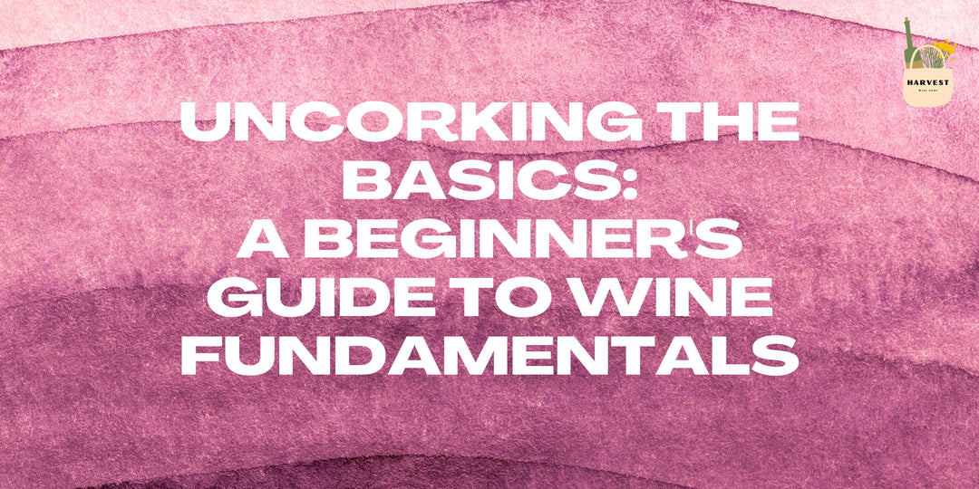 Uncorking the Basics: A Beginner's Guide to Wine Fundamentals