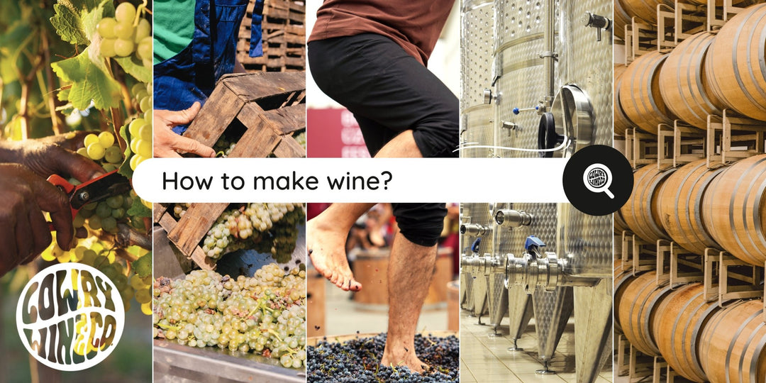 How to make wine....basically - Harvest Wine Shop