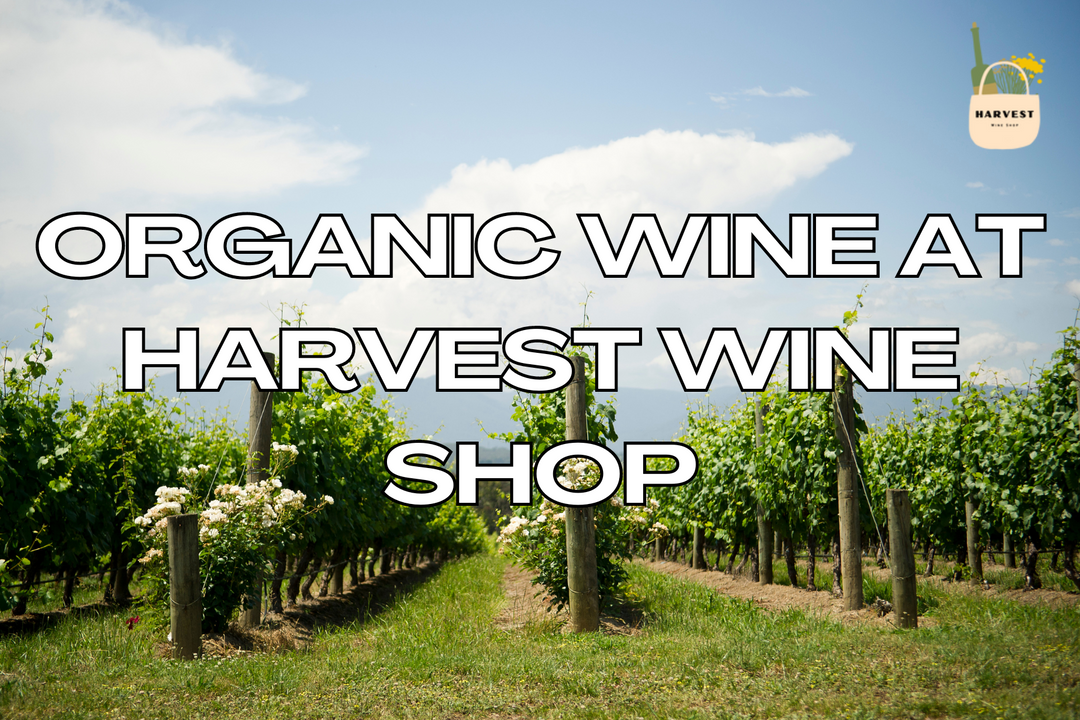 Harvest Wine Shop: San Diego’s Online Organic Wine Source