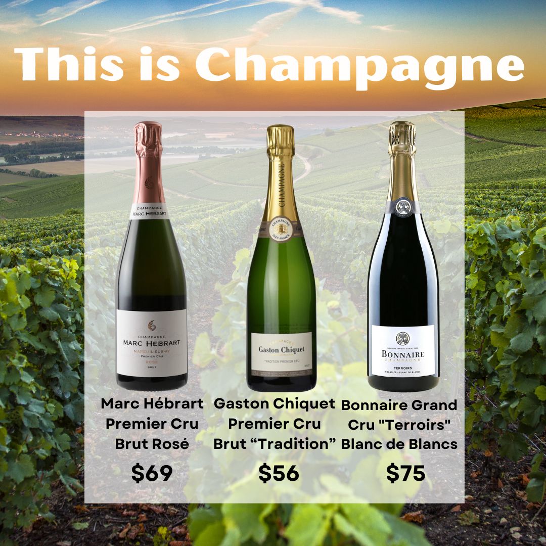 This is Champagne - Harvest Wine Shop